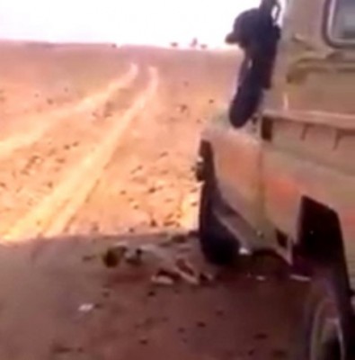 نقرتين لعرض الصورة في صفحة مستقلة
