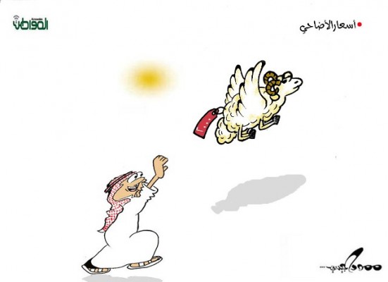 ارتفاع أسعارالأضاحي