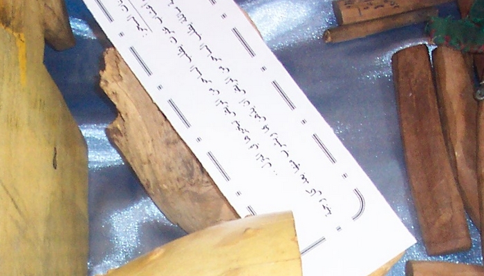 4495.jpg