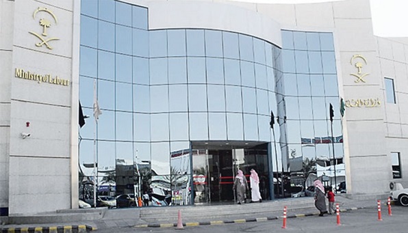 نقرتين لعرض الصورة في صفحة مستقلة