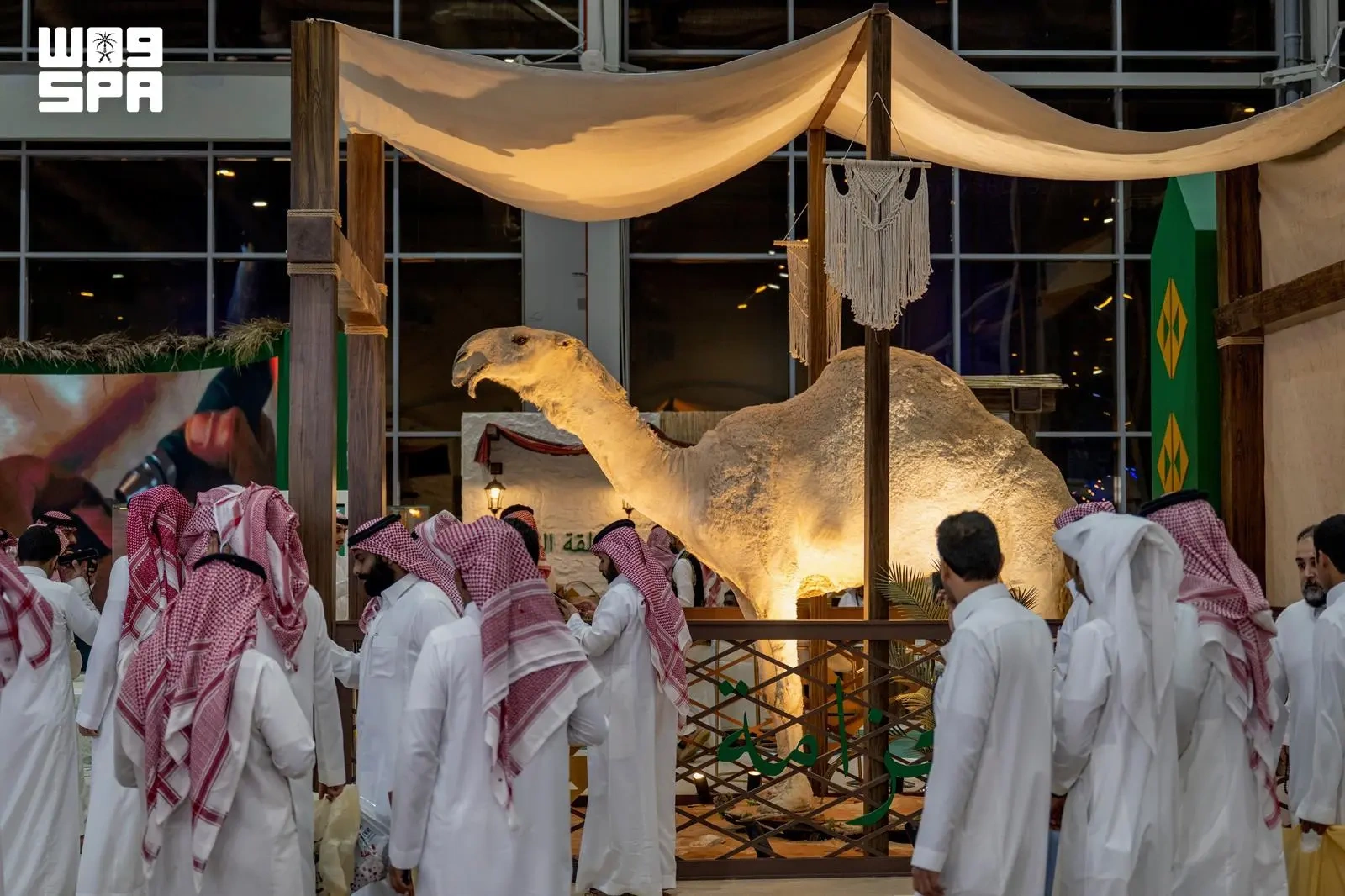 الحياة الفطرية تثري تجربة زوار معرض الصقور والصيد السعودي الدولي 2026