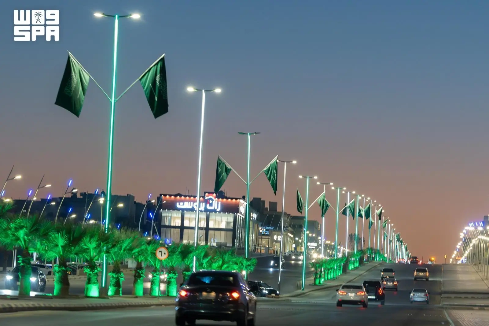 الحدود الشمالية تستعد لليوم الوطني السعودي بفعاليات متنوعة