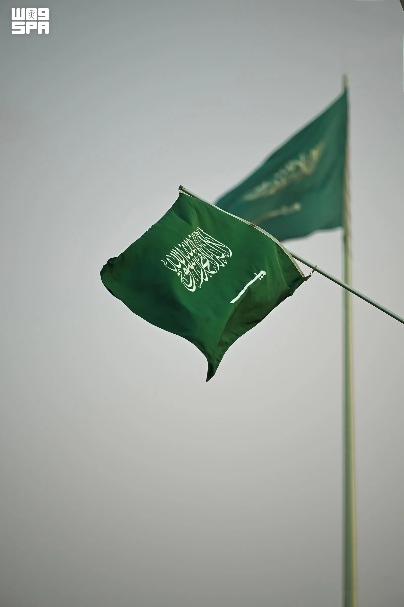 30 موقعًا و70 فعالية في الشرقية للاحتفاء باليوم الوطني 