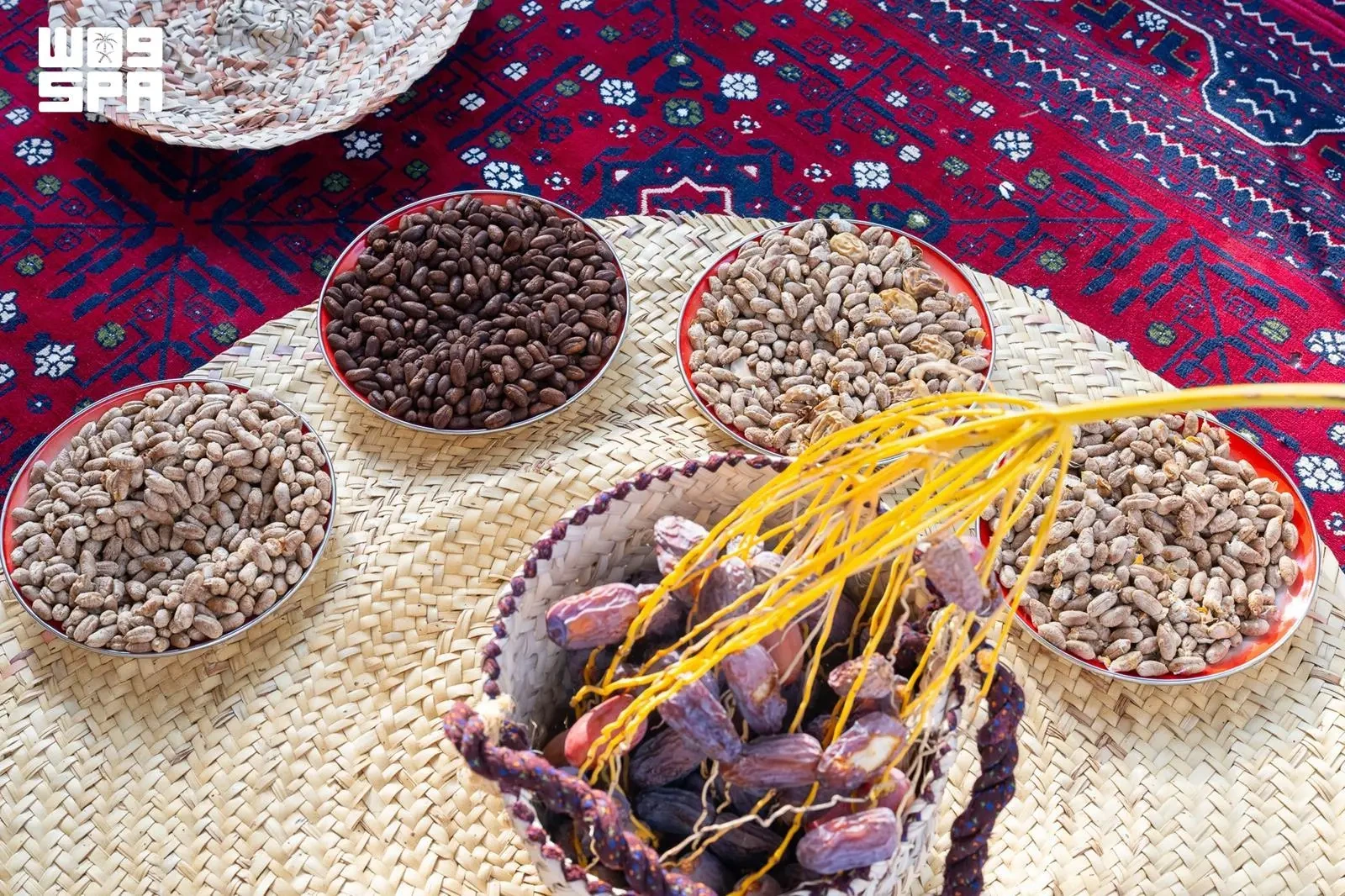 قهوة "العبس".. نواة التمر تتحول إلى مشروب محلي بقيمة مضافة 