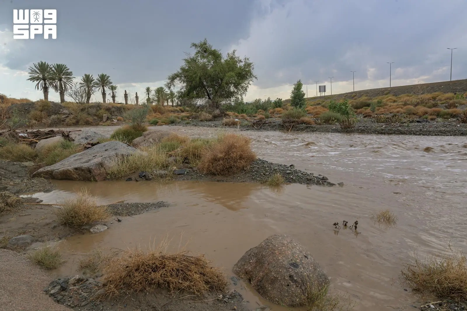 أمطار الباحة تُجري الأودية وتنعش الغطاء النباتي