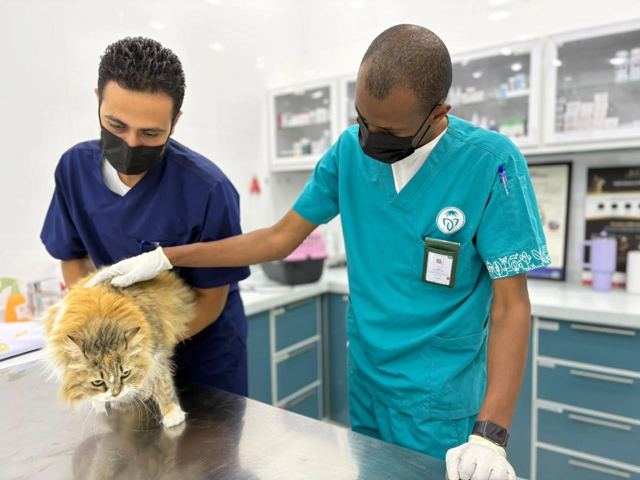 مركز وقاء بمنطقة مكة المكرمة يطلق حملة لتحصين الحيوانات الأليفة ضد مرض السعار 