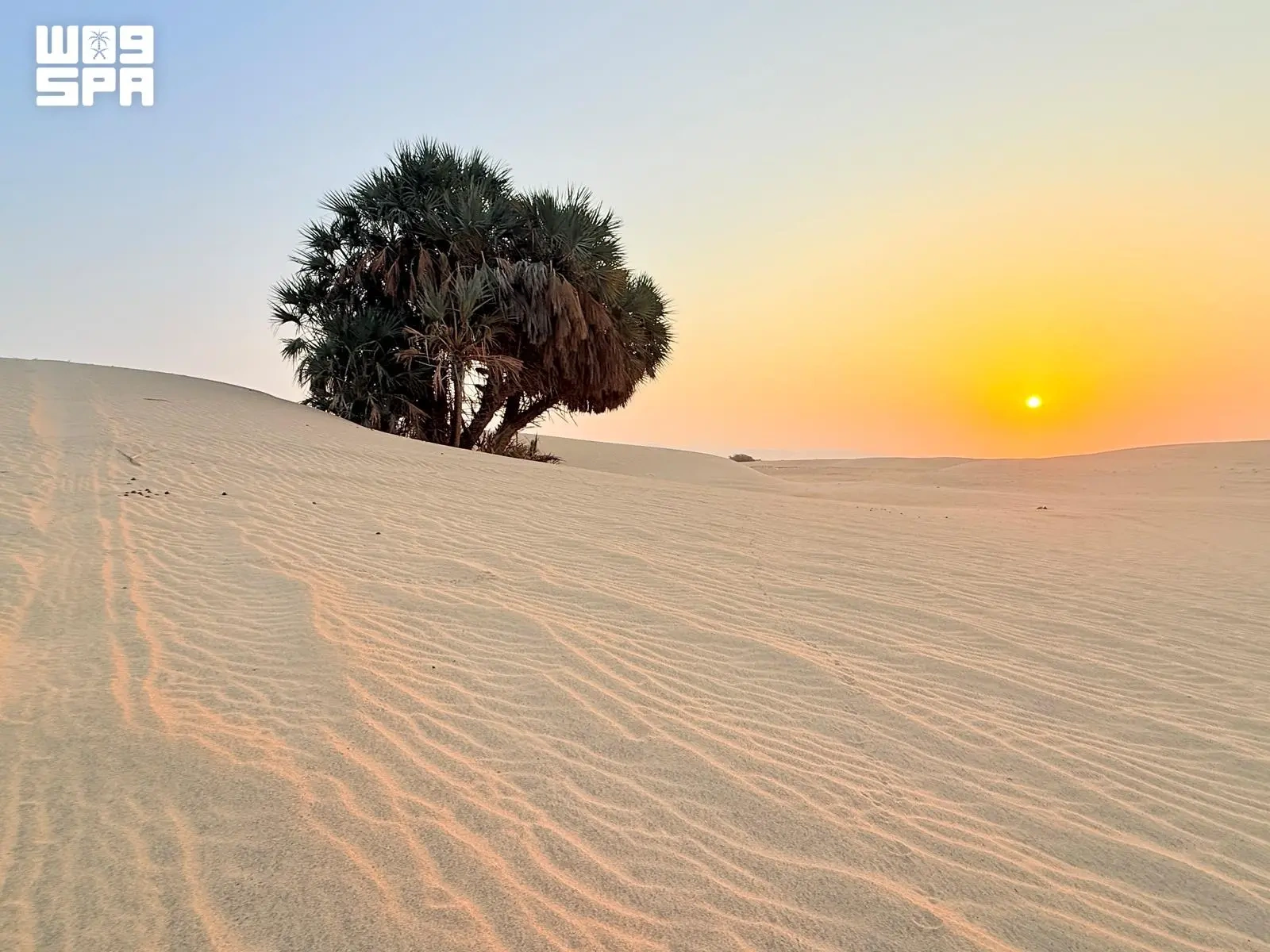 سهول الخضراء بالليث.. شروق الشمس يرسم لوحة طبيعية في أجواء خريفية معتدلة
