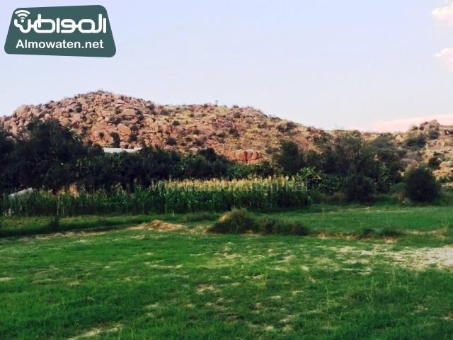 شاهد بالصور كنوز الطبيعة في وادي ذي غزال بشفاء الطائف صحيفة المواطن الإلكترونية