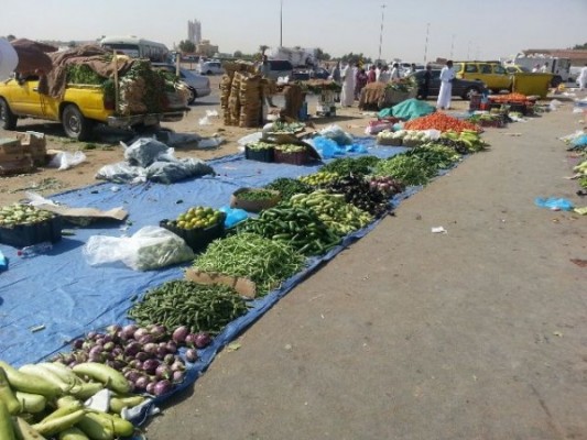 أمانة الرياض تباشر 11 بلاغاً وتضبط 7 مباسط عشوائية