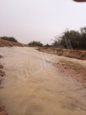 بالصور .. أمطار الخير تروي مراكز وهجر رفحاء
