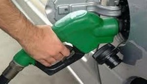 بطاقة اقتصاد الوقود في المركبات الخفيفة.. وسيلة للحد من هدر الطاقة