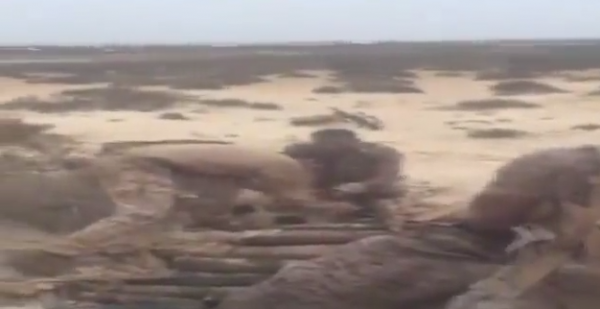 شاهد.. لحظة الكشف عن صواريخ حوثية على الحدود السعودية
