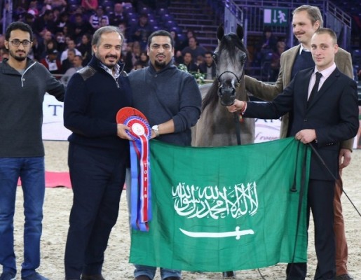 “مربط أحلا” يحصد المركز الـ3 في بطولة جمال الخيل العربية بفرنسا