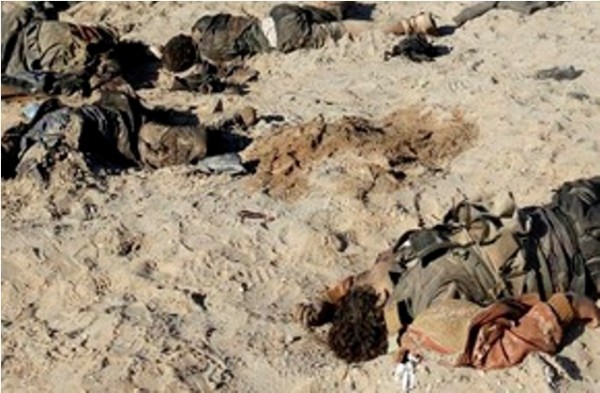 عقب مشاكل مالية.. #داعش يعرض بيع جثث مقاتلين أكراد