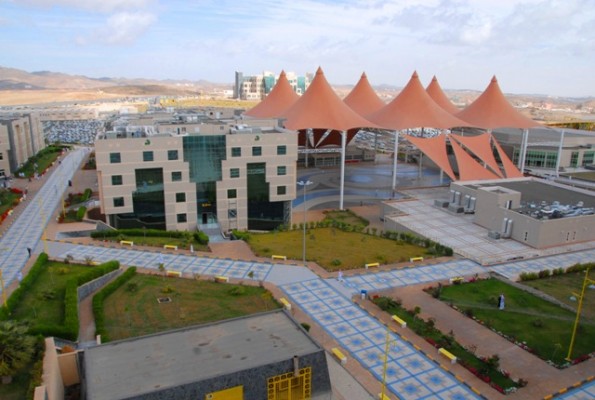 القبول للبكالوريوس التكميلي لخريجي وخريجات “المجتمع” بجامعة الملك خالد