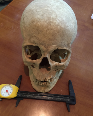اكتشاف جمجمة امرأة عمرها 3800 سنة في كهف بـ”حرة خيبر”