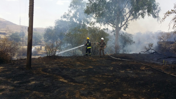 حريق ضخم في مدرجات زراعية بالباحة