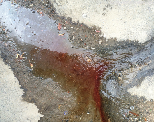 بالصور .. آثار الدماء في مكان سقوط الداعشي الغامدي