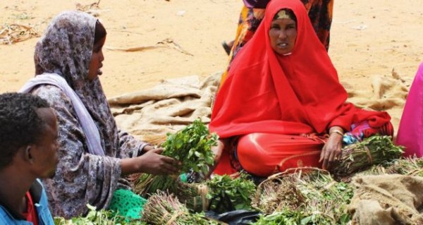 بريطاني من أصل صومالي يقود حملة شعبية لحظر تعاطي القات في بلاده