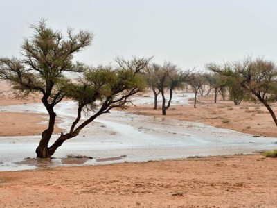 أمطار مصحوبة بالبرد على المناطق الشماليّة عصر اليوم