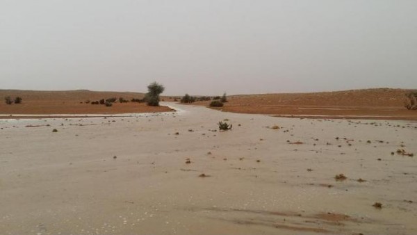‏‫أمطار متوسطة إلى غزيرة على شقراء وضواحي الرياض