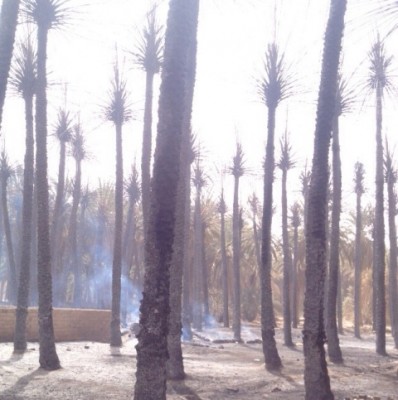 حريق هائل في مزارع بمحافظة تيماء