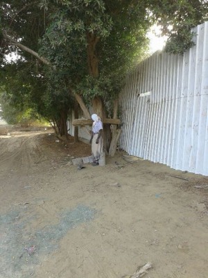 انتحار “يمني” في أحد مزارع صبيا