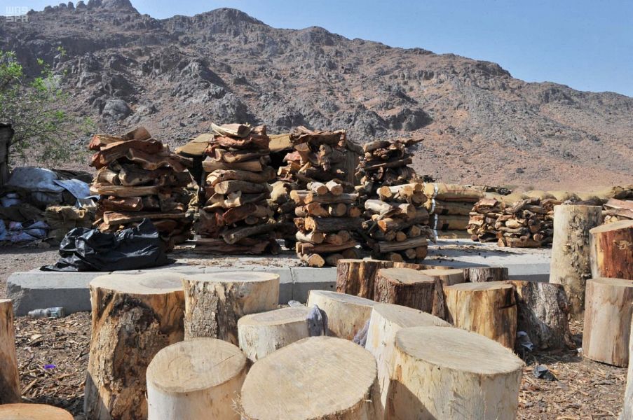 الأمن البيئي يضبط موقعًا لبيع الحطب المحلي في الرياض
