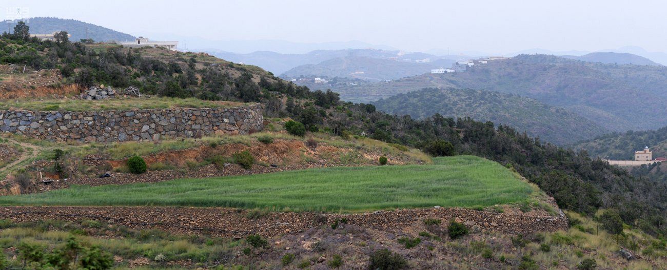 بالصور.. الأجواء المعتدلة والأزهار الفوّاحة تستقبل زوار مدينة أبها