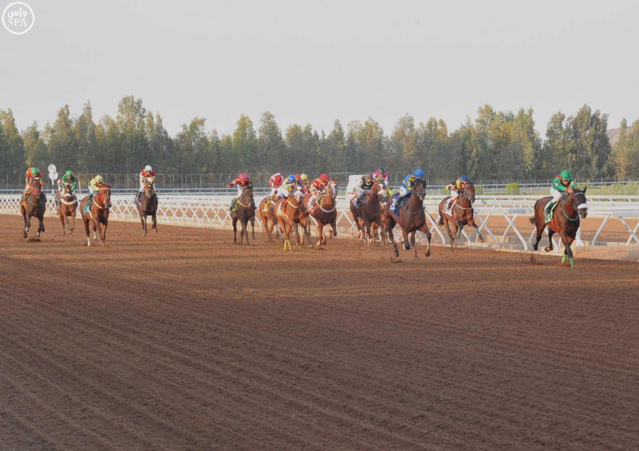 تعرف على تفاصيل سباق الخيل التاسع والعاشر