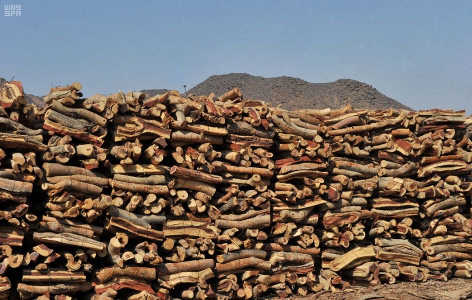 ضبط 30 طنًا من الحطب المحلي المعدّ للبيع في الرياض