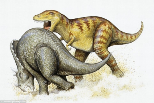 حفرية تؤرخ مشاجرة ديناصورين من 65 مليون سنة ثمنها 6 مليون جنيه إسترليني