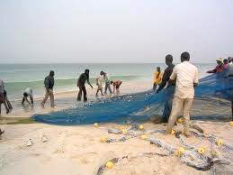 موريتانيا تحتفل بمرور عام على “تأميم” صيد الأخطبوط !