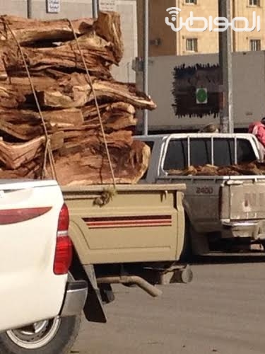 الحطب المحلي أسعاره “نار” والمستورد لا مكان له في مواقد السعوديين