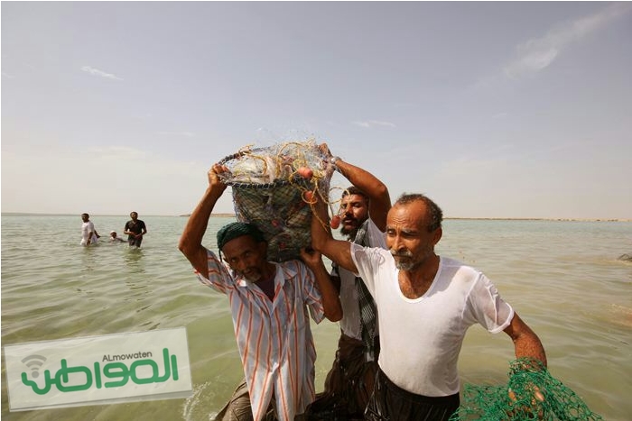 “مهرجان الحريد” الحدث المرتقب من المئات في جازان