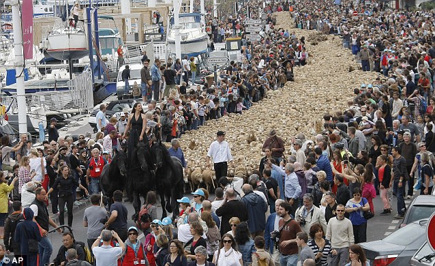 بالصور.. مرسيليا عاصمة للثقافة الأوروبية بحضور 3000 خروف