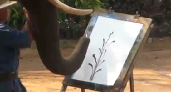 بالفيديو.. فيلة موهوبة ترسم الأزهار