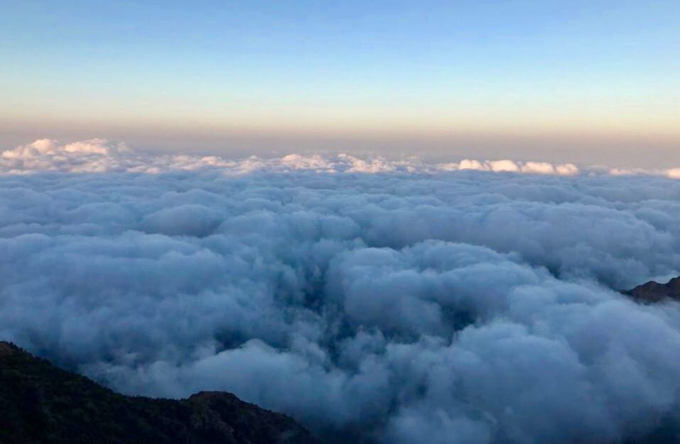 بالفيديو والصور.. الضباب يشكل لوحة جمالية في عسير ويجذب المتنزهين