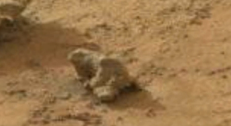 بالفيديو.. “ناسا” ترصد حيواناً زاحفاً في المريخ