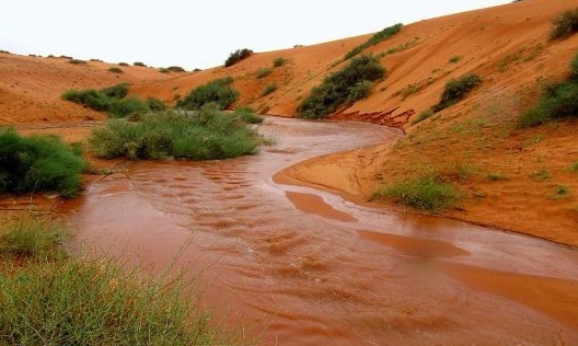 وفاة مقيم آسيوي بسبب الأمطار بحائل