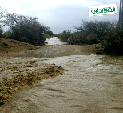 بالصور …”المواطن” ترصد أمطار عشيرة