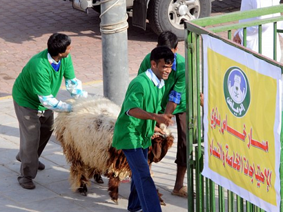 أمانة الرياض تعتمد ( 17 ) سوقا لبيع الاضاحي و( 6 ) مسالخ