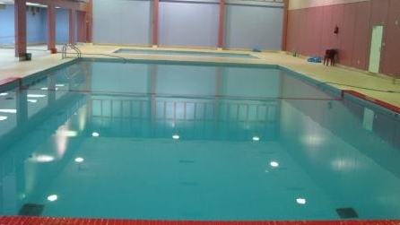 مواطنٌ يطلب السماح من مدير نادٍ لـ “تبوله” في حمام السباحة