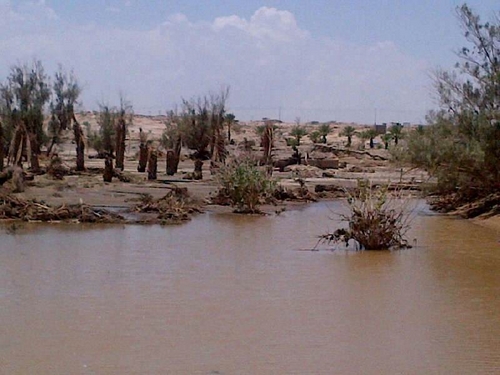 بالصور.. امتلاء سد وادي كلاخ وفيضانه للمرة الرابعة