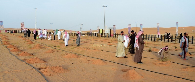 مهرجان الغضا