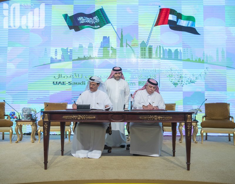 9 اتفاقيات غيّرت معالم الاقتصاد السعودي الإماراتي