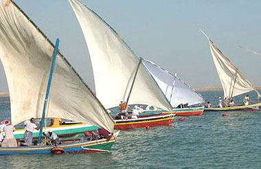 رعاية الشباب تنظم سباق القوارب الشراعية في “جازان” غداً