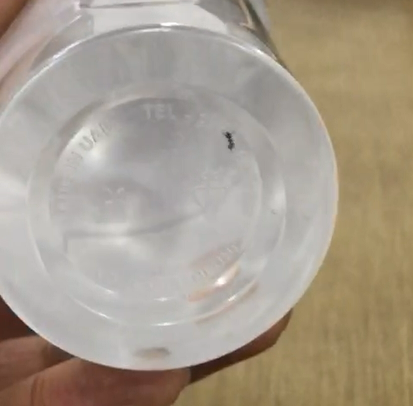 شاهد بالفيديو.. نملة تشارك مواطنًا كوب الماء