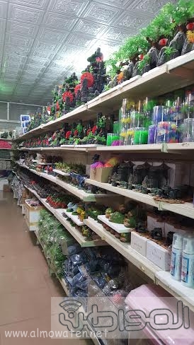 بالصور.. جولة في سوق الأسماك وطيور الزينة بـ #جدة