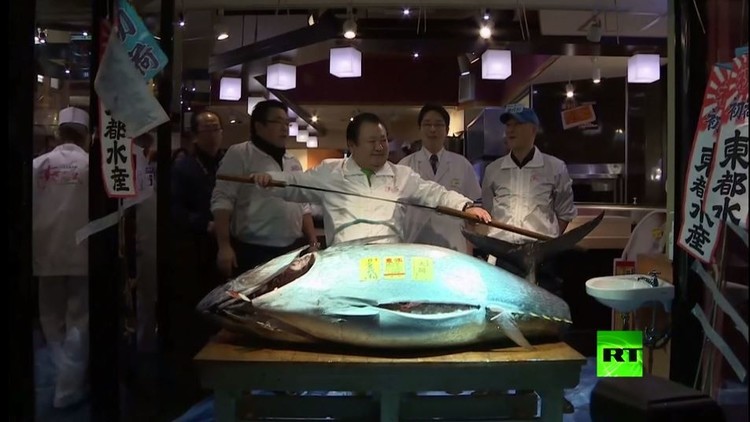 بالفيديو.. سمكة تونة تباع بسعر فلكي في طوكيو